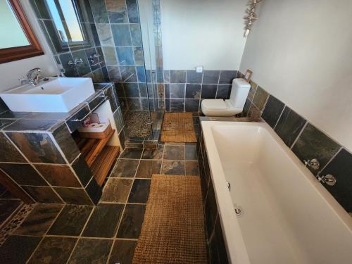 De RustRibboksfontein Guest Farm的带浴缸、卫生间和盥洗盆的浴室