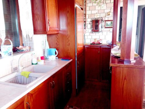 Kríon NerónBalcony on Trichonida Lake的一个带木制橱柜和水槽的厨房