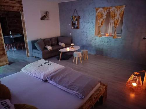 Chalúpka Anit的一间卧室配有一张床、一张沙发和一张桌子