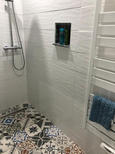 卡尔卡松Carcahouse的一间铺有瓷砖地板的带淋浴的浴室