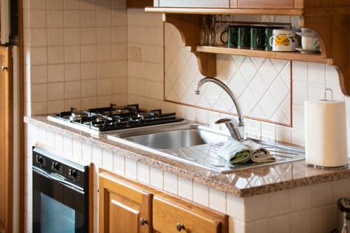 卢卡Casetta di Butia, Appartamento Iris的厨房配有水槽和炉灶