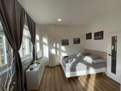 布尔诺Historic Center Brno Apartment的一间卧室设有一张床和一些窗户。