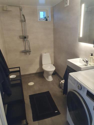 拉霍尔姆K39的浴室配有卫生间、盥洗盆和洗衣机。