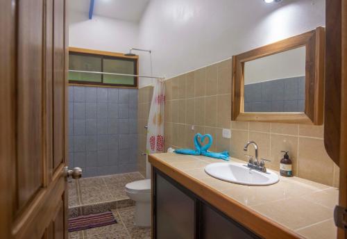 科克莱斯Blue Maverick in Playa Cocles 4x4 neccesary的一间带水槽、卫生间和镜子的浴室