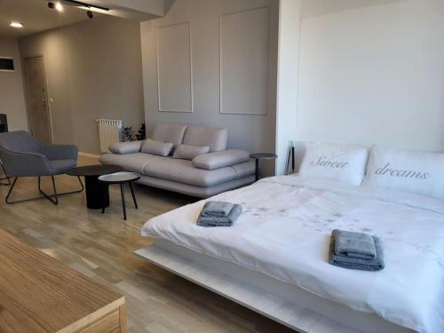 斯科普里BS Apartment的一间卧室配有一张大床和一张沙发