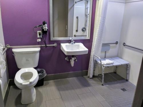 迈尔斯堡Quality Suites Fort Myers Airport I-75的一间带卫生间和水槽的浴室