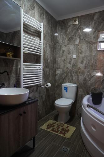 MotsametaVilla ,,GELATI''的一间带卫生间和水槽的浴室