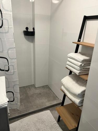 莱顿‘T Singeltje的带淋浴和毛巾的浴室