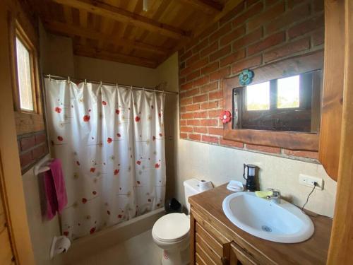 昆卡Casa de campo rústica en Cuenca的一间带水槽和淋浴帘的浴室