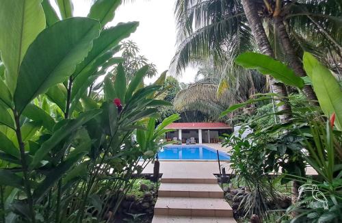 Tropical Garden Hotel内部或周边的泳池