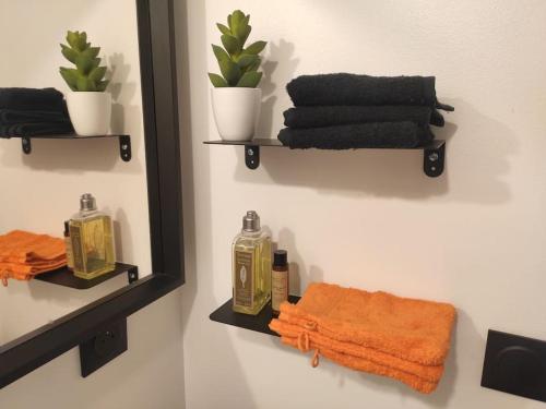 鲁昂Appt d'artiste - 3 ch - Parking的浴室设有镜子和墙上的毛巾