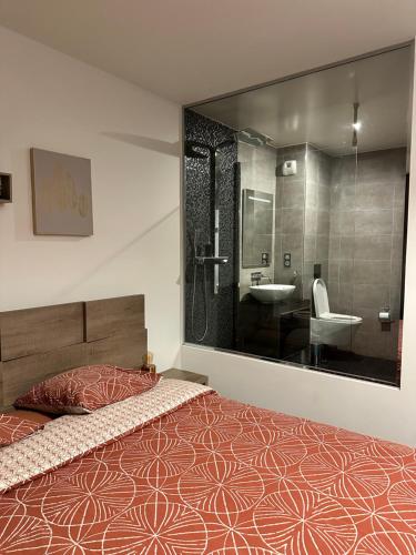 安纳马斯Magnifique Loft - Hyper Centre的一间卧室配有床、水槽和镜子