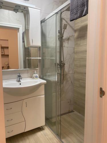 文尼察Apartments in Pyrogovo的一间带玻璃淋浴和水槽的浴室