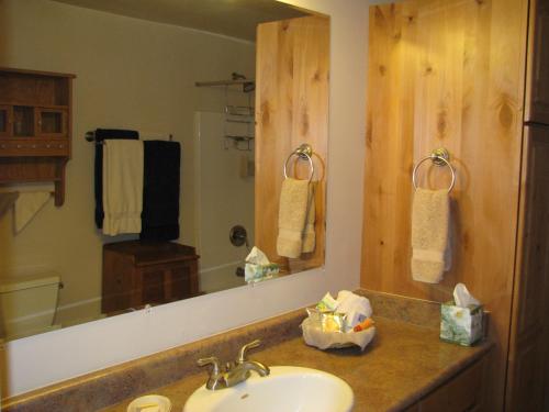 卡纳布Red Rock Hacienda的一间带水槽和大镜子的浴室