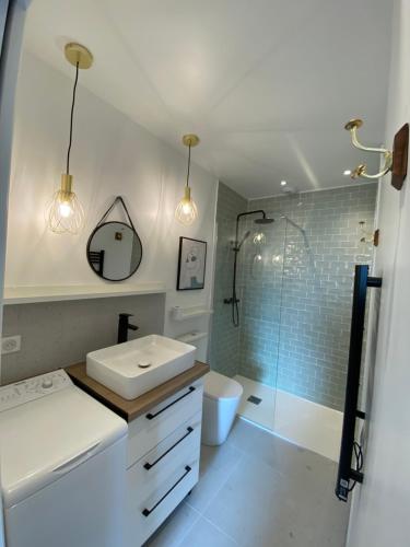 Appartement standing 2 pièces tout équipé avec jardin et parking privé的一间带水槽、卫生间和淋浴的浴室