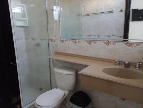 巴兰基亚Hotel Suite Imperial 72的一间带卫生间、水槽和镜子的浴室