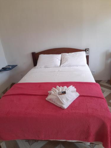 Entre RiosPOUSADA PORTAL DA LUZ的一间卧室配有一张带红色毯子的床