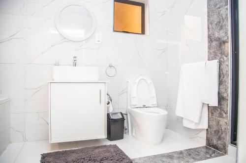 卢萨卡Longhorn Executive Apartments的白色的浴室设有水槽和卫生间。