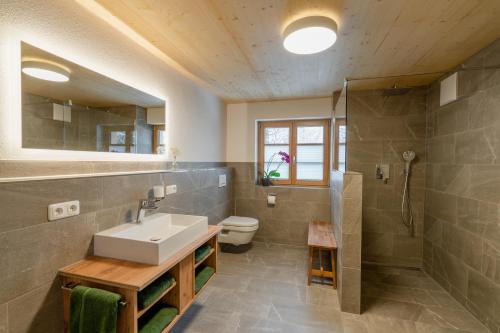 奥伯斯特多夫Waldgut的一间带水槽、淋浴和卫生间的浴室