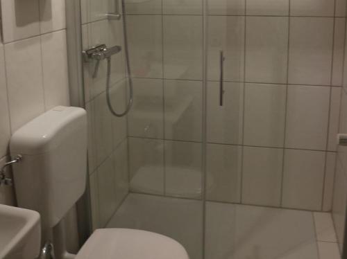 梅德巴赫祖尔多先科酒店的带淋浴、卫生间和盥洗盆的浴室