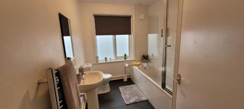 亚瑟斯通Data House Holiday Apartment的一间带水槽和卫生间的浴室以及窗户。