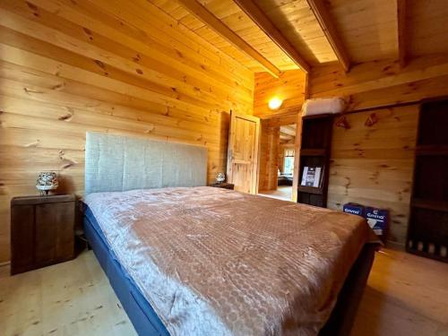 BessanChalet bois jacuzzi的小木屋内一间卧室,配有一张床