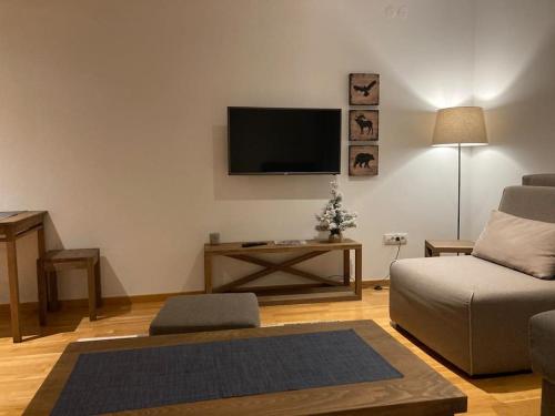 布尔泽策Apartman Jelka Brzece的带沙发和平面电视的客厅
