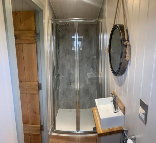 约克Springwood Shepherd Huts Glamping York的带淋浴和盥洗盆的浴室