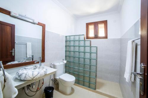 江比阿Mahi Mahi Beach Hotel的一间带卫生间、水槽和镜子的浴室