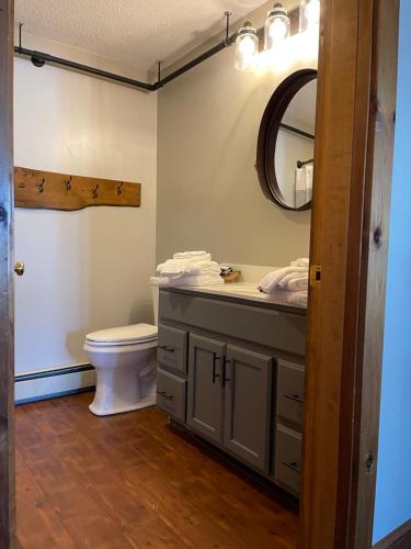 LovellThe Lodge at Pleasant Point的一间带卫生间、水槽和镜子的浴室