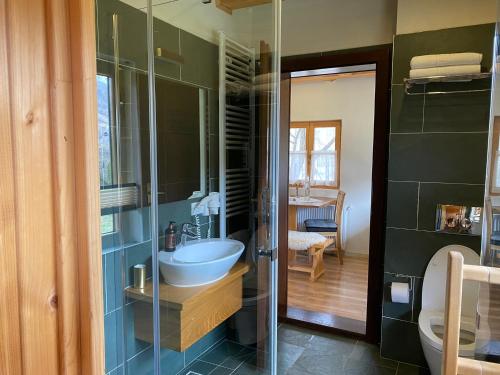 上维谢乌Magnolia Resort Chalets的一间带水槽和玻璃淋浴的浴室