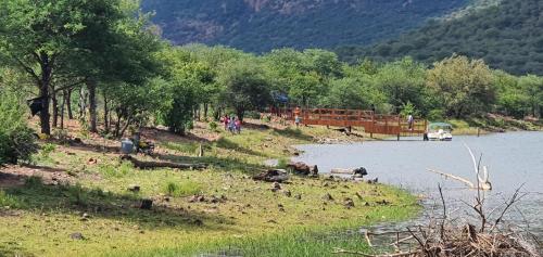La Gracia Camping的一群站在湖边的动物