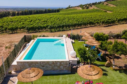 康特港Residenza alla Collina & Romantic SPA的享有带游泳池的别墅的外部景致