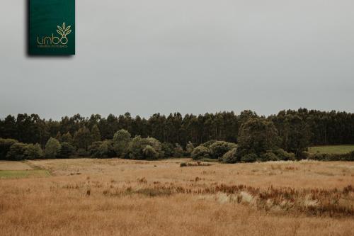 马尔皮卡Limbo Cabañas de Malpica的草场,有树木背景