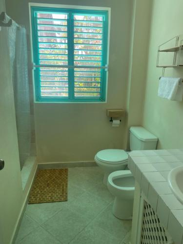 圣塔芭芭拉-山美纳La Dolce Vita Rental, Las Terrenas, Samana的一间带卫生间、水槽和窗户的浴室