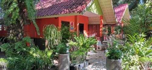甲米镇甲米棕榈考维度假村的前面有大量植物的房子