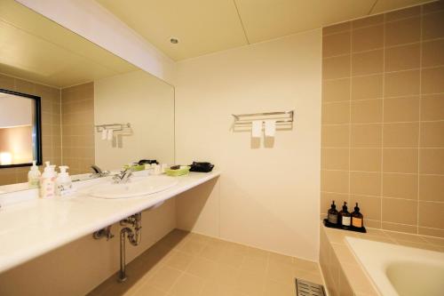 日光四季彩酒店(Hotel Shikisai)的浴室配有盥洗盆、镜子和浴缸
