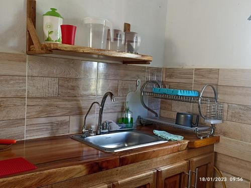 圣贝尔纳多德尔比恩托El ensueño的厨房水槽和木台上的两个水龙头