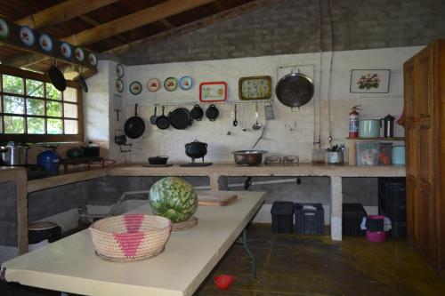索德瓦纳湾Winterdodgers Backpackers and Campsite的厨房配有带西瓜的桌子
