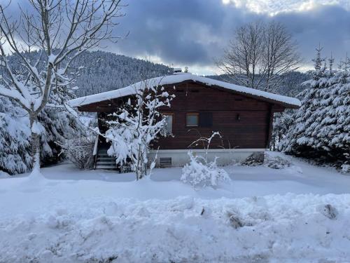 Ban-sur-Meurthe-ClefcyChalet situé au grand Valtin的小木屋,地面上积雪