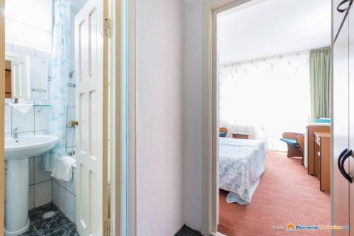 杜劳布拉杜尔酒店的一间带水槽的浴室和一间带一张床的卧室