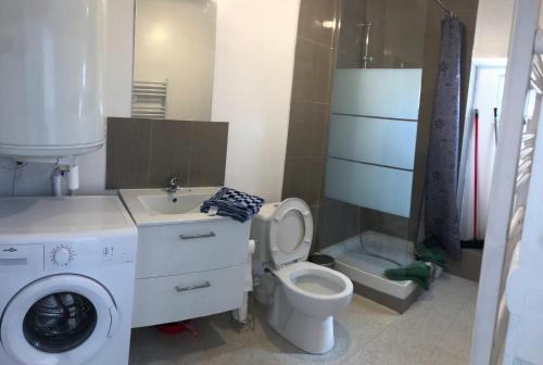 Évry-les-ChâteauxAppartement en duplex的一间带洗衣机和卫生间的浴室