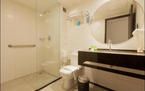 马塞约Flat novo à Beira-mar的带淋浴、卫生间和镜子的浴室
