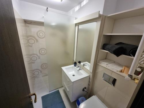 布加勒斯特Oana Luxury Home的一间带水槽和镜子的小浴室