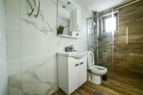 科帕奥尼克Apartman La Foresta Kopaonik的一间带水槽、卫生间和淋浴的浴室