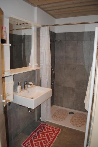 丰多Casa Vacanza San Martino的一间带水槽和淋浴的浴室