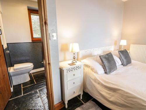 巴茅思Ceilwart Cottage的一间卧室配有床、水槽和镜子