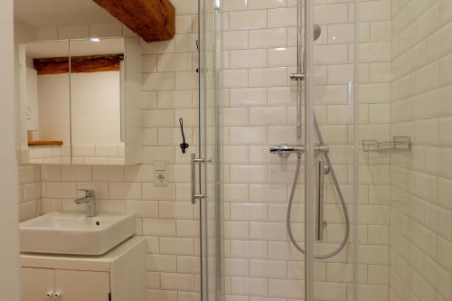 菲尔斯滕贝格Gut Boltenhof的一间带水槽和淋浴的浴室