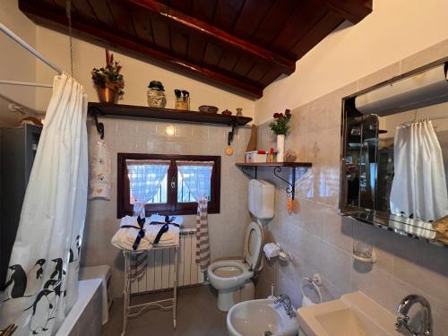 拉帕洛La Baita Di San Massimo的一间带卫生间和水槽的浴室