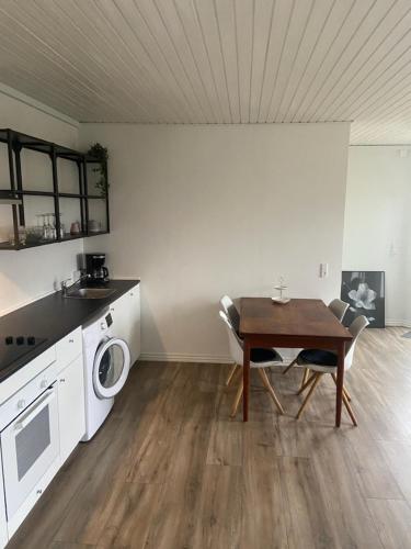 灵斯泰兹VV Apartments 50,1的厨房配有桌子和洗衣机。